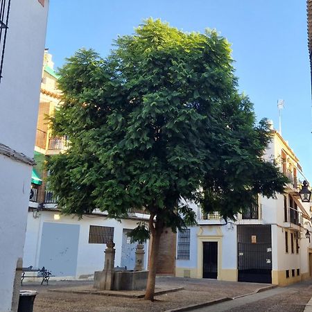 Terraza De La Axerquia Leilighet Córdoba Eksteriør bilde