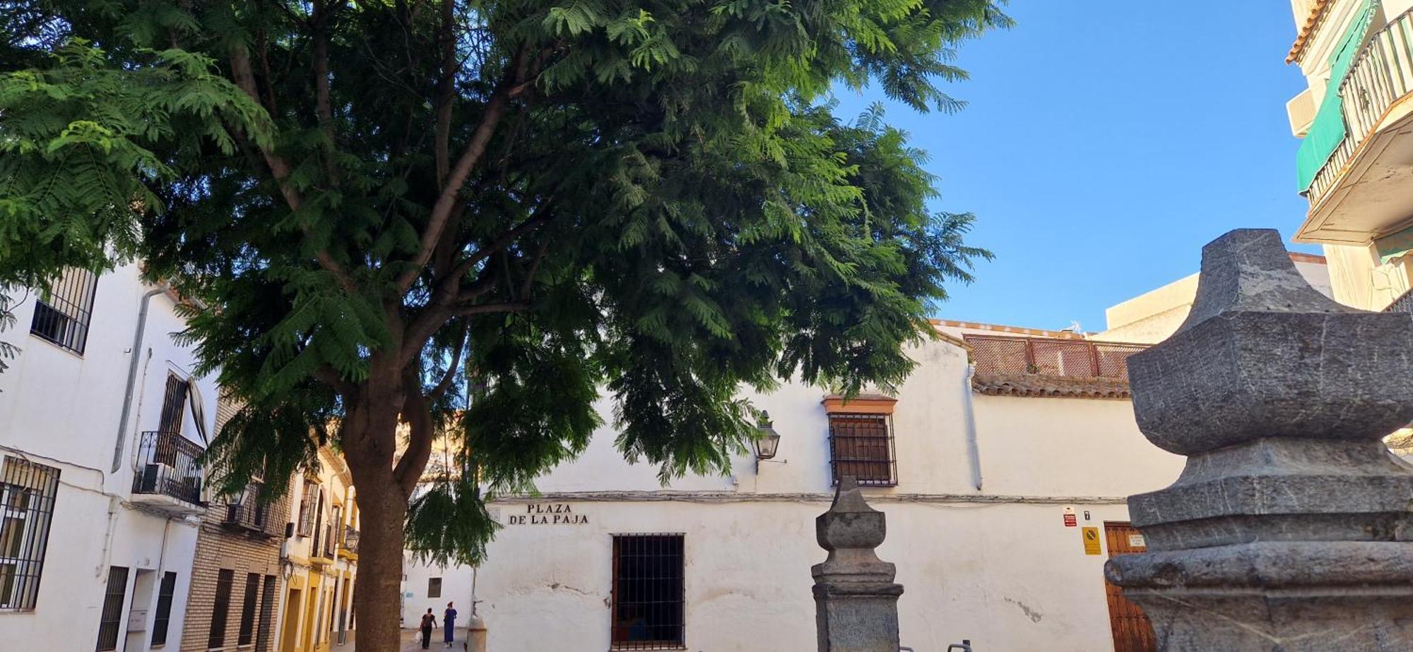 Terraza De La Axerquia Leilighet Córdoba Eksteriør bilde