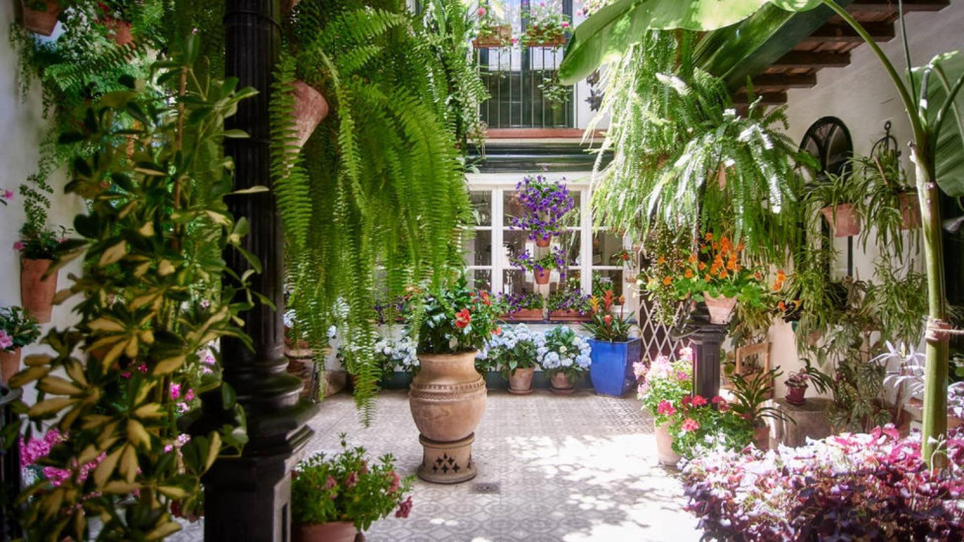 Terraza De La Axerquia Leilighet Córdoba Eksteriør bilde