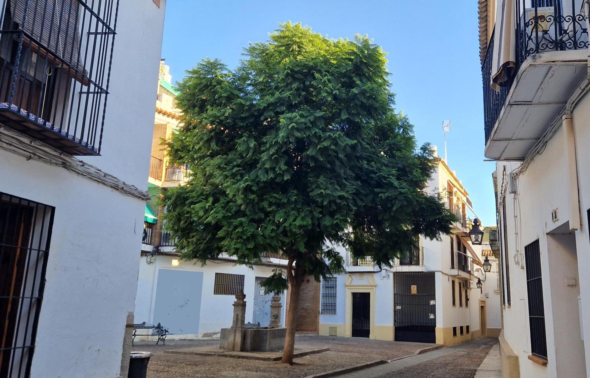 Terraza De La Axerquia Leilighet Córdoba Eksteriør bilde